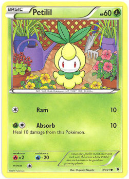 Petilil NVI-4 Common Played Englisch Reverse Holo
