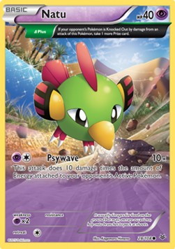 Natu ROS-28 Common Good Englisch
