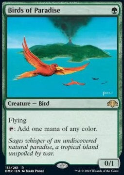 Birds of Paradise DMR-151 Rare Excellent Englisch