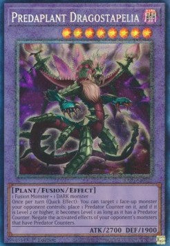 Raubpflanze Drachostapelia (V.6) RA01-027 Collectors Rare Near Mint Deutsch 1. Auflage