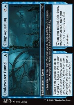 Underwater Tunnel // Slimy Aquarium DSK-79 Common Near Mint Englisch