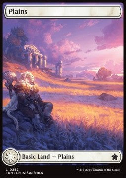 Plains XFDN-282 Land Near Mint Englisch Foil