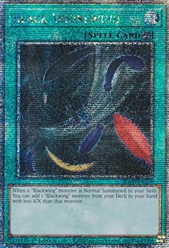 Schwarzer Wirbelwind (V.2) RA03-219 Quarter Century Secret Rare Near Mint Deutsch 1. Auflage
