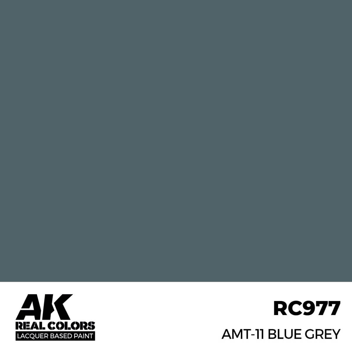 AK Interactive REAL COLORS Amt-11 Blue Grey 17 ml.