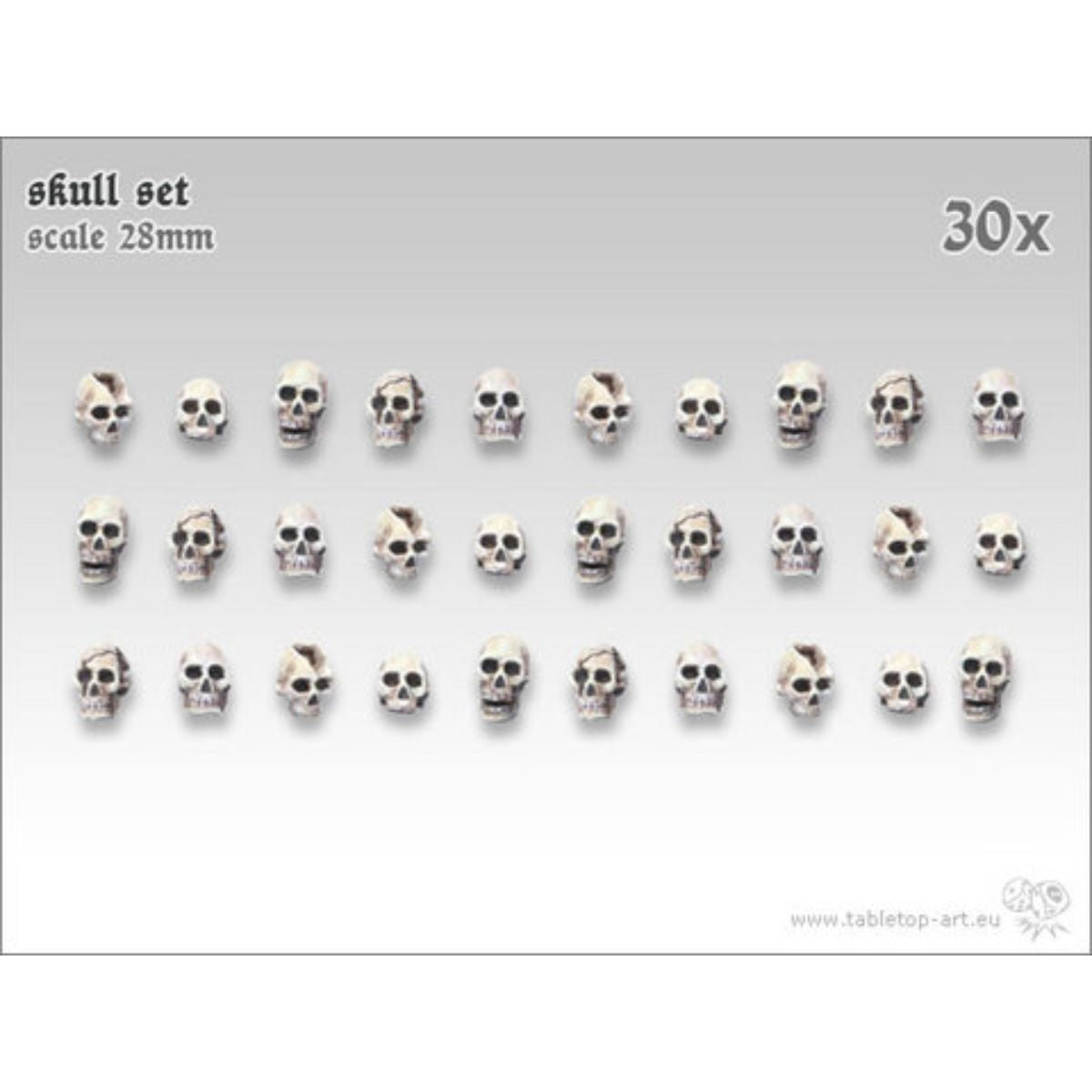 Skull Set 2