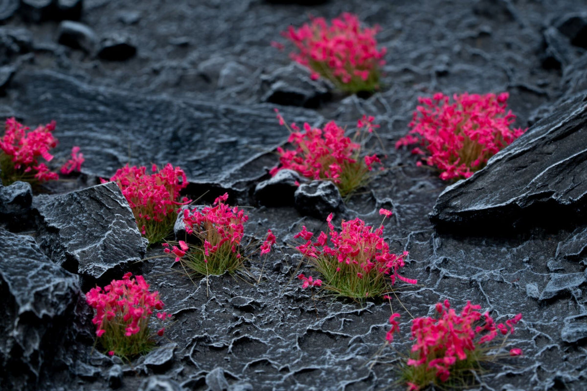 Gamers Grass Pink Flowers Wild