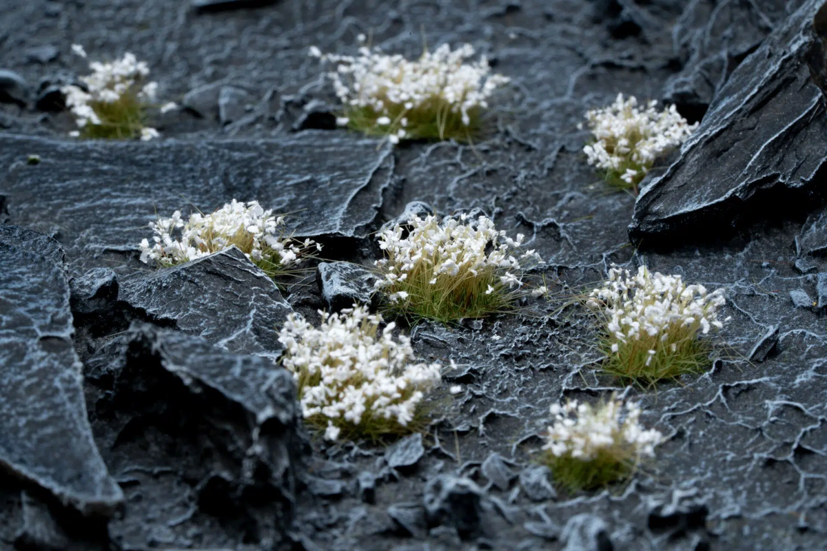 Gamers Grass White Flowers Wild