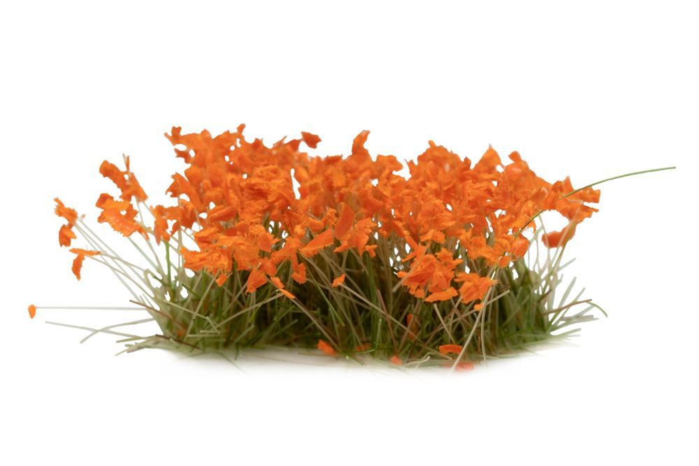 Gamers Grass Orange Flowers Wild