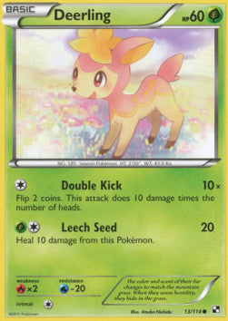 Sesokitz BLW-13 Common Light Played Deutsch