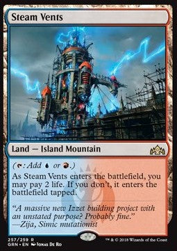 Steam Vents GRN-257 Rare Near Mint Englisch