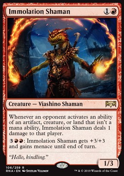 Immolation Shaman RNA-106 Rare Excellent Englisch