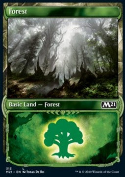 Forest XM21-313 Land Near Mint Englisch
