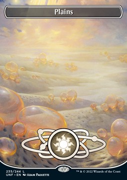 Plains (V.1) UNF-235 Land Excellent Englisch Foil