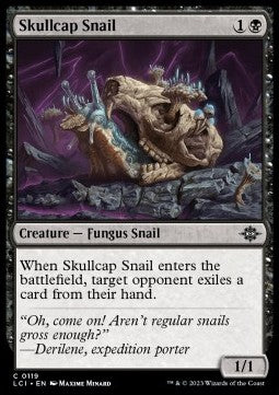 Skullcap Snail LCI-119 Common Excellent Englisch