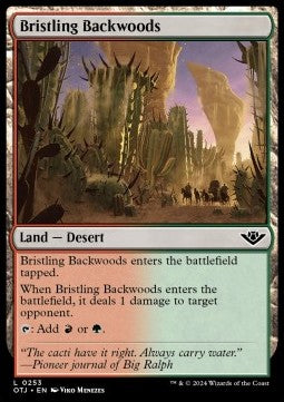 Bristling Backwoods OTJ-253 Land Near Mint Englisch Foil