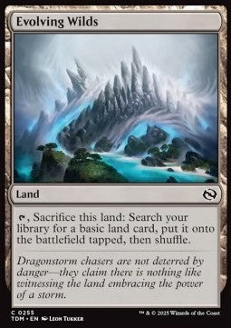 Evolving Wilds TDM-255 Common Near Mint Englisch