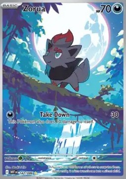 Zorua WHT-142 Illustration Rare Near Mint Englisch