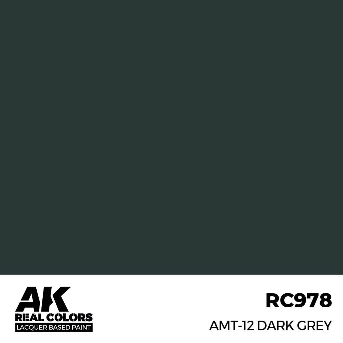 AK Interactive REAL COLORS Amt-12 Dark Grey 17 ml.