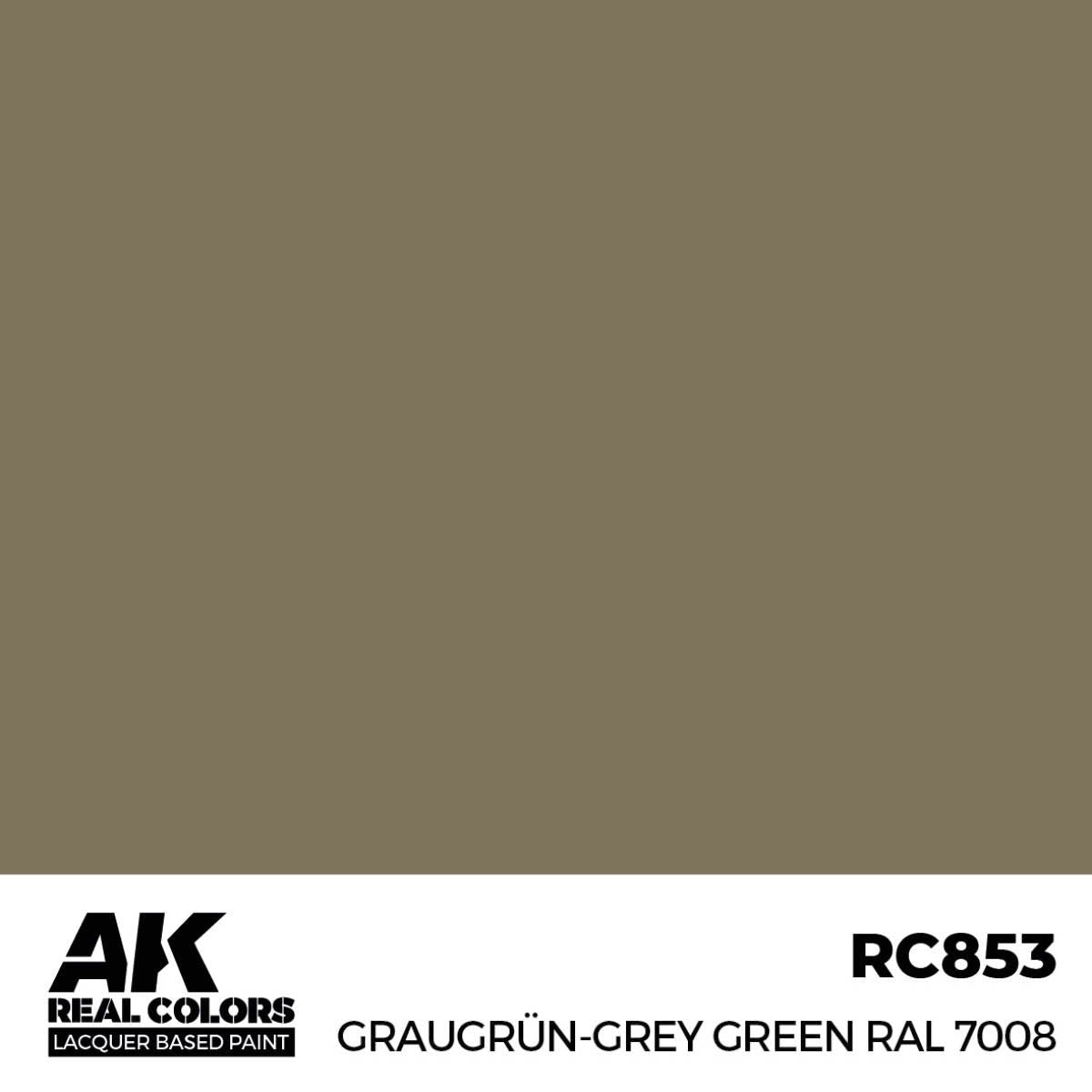 AK Interactive REAL COLORS Graugrün-Grey Green Ral 7008 17 ml.