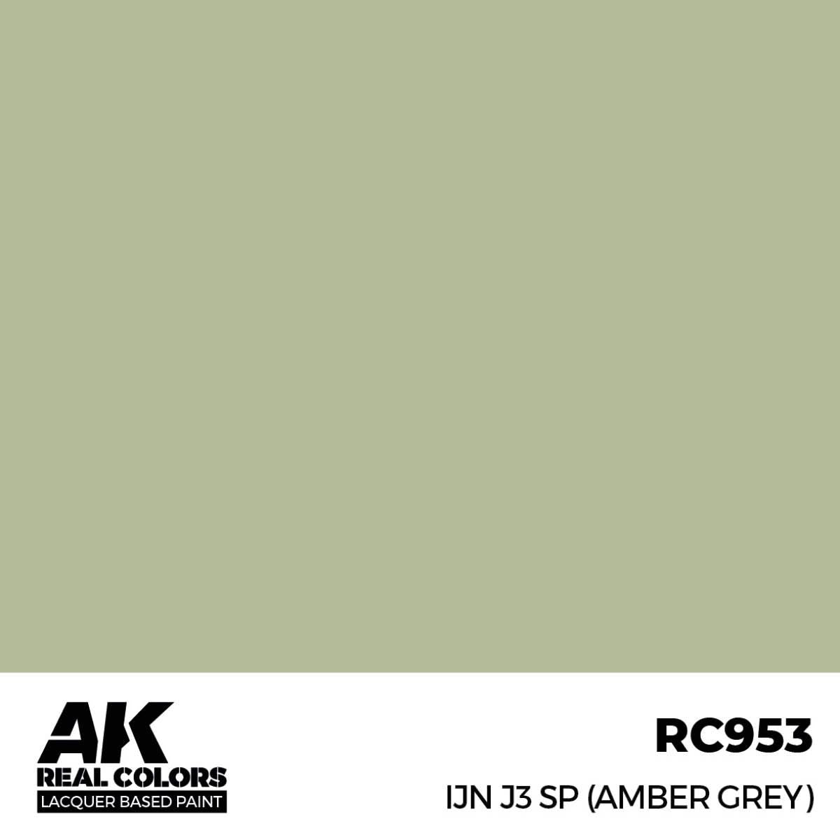 AK Interactive REAL COLORS Ijn J3 Sp (Amber Grey) 17 ml.