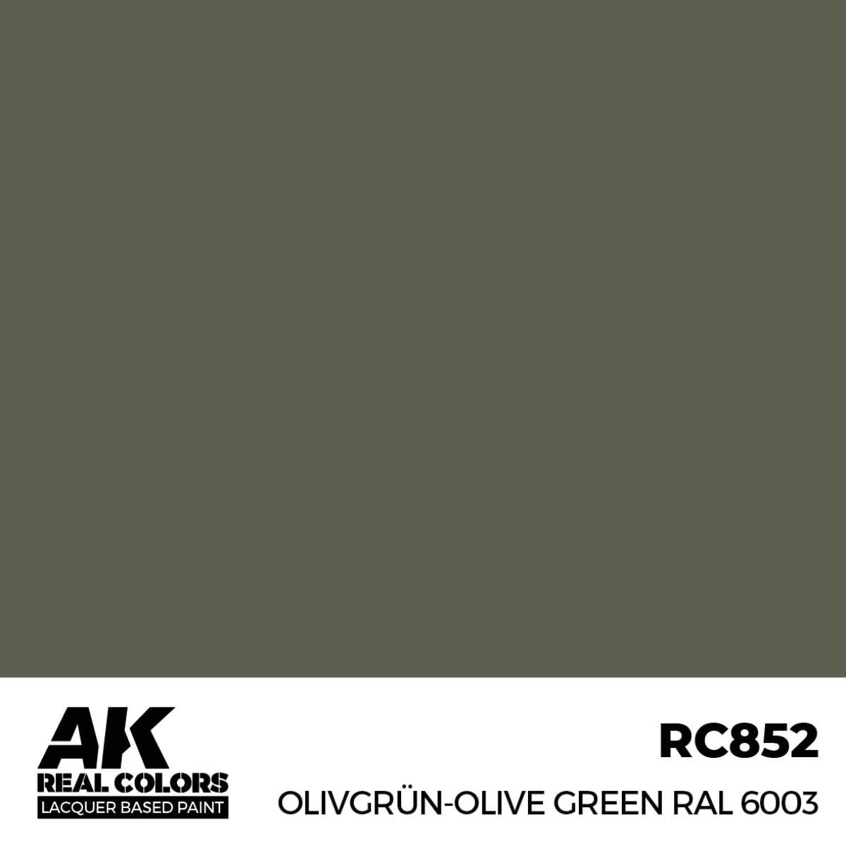 AK Interactive REAL COLORS Olivgrün-Olive Green Ral 6003 17 ml.