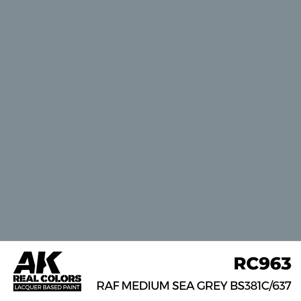 AK Interactive REAL COLORS Raf Medium Sea Grey Bs381C/637 17 ml.