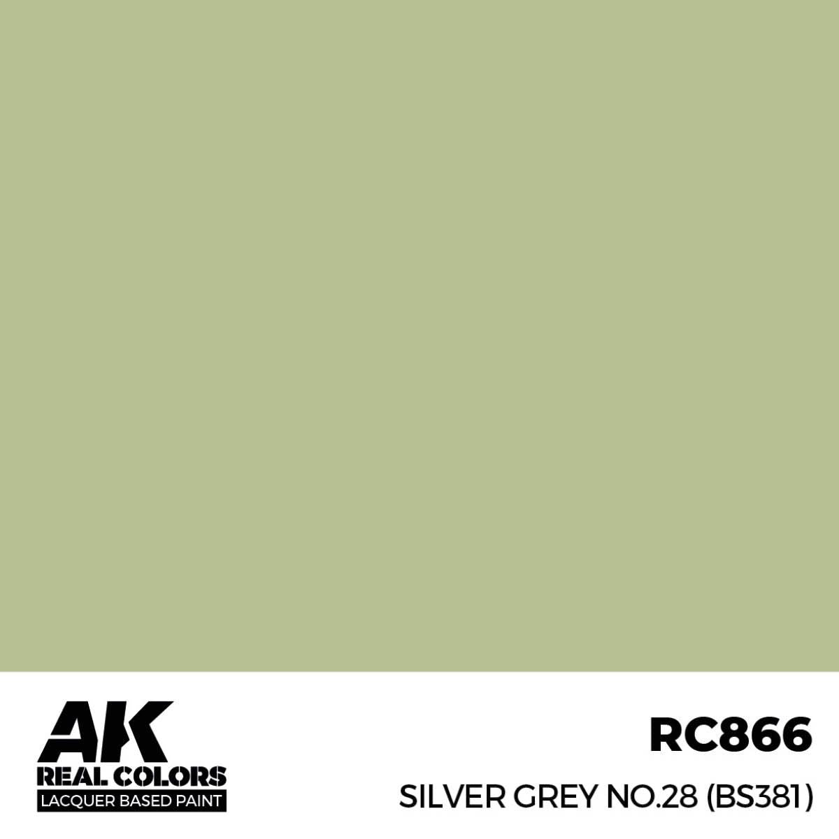 AK Interactive REAL COLORS Silver Grey No.28 (Bs381) 17 ml.