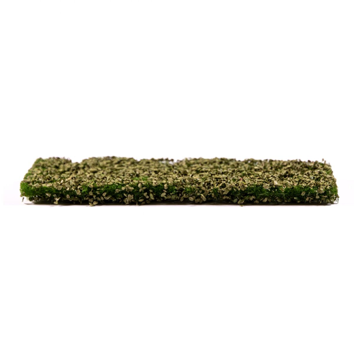AK Interactive Vegetation Beech Foliage Summer