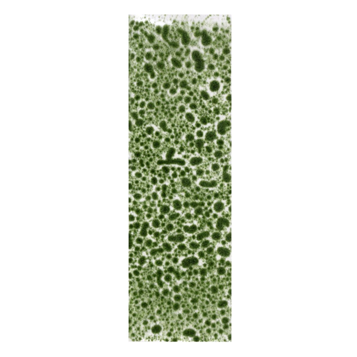 AK Interactive Vegetation Realistic dark green moss