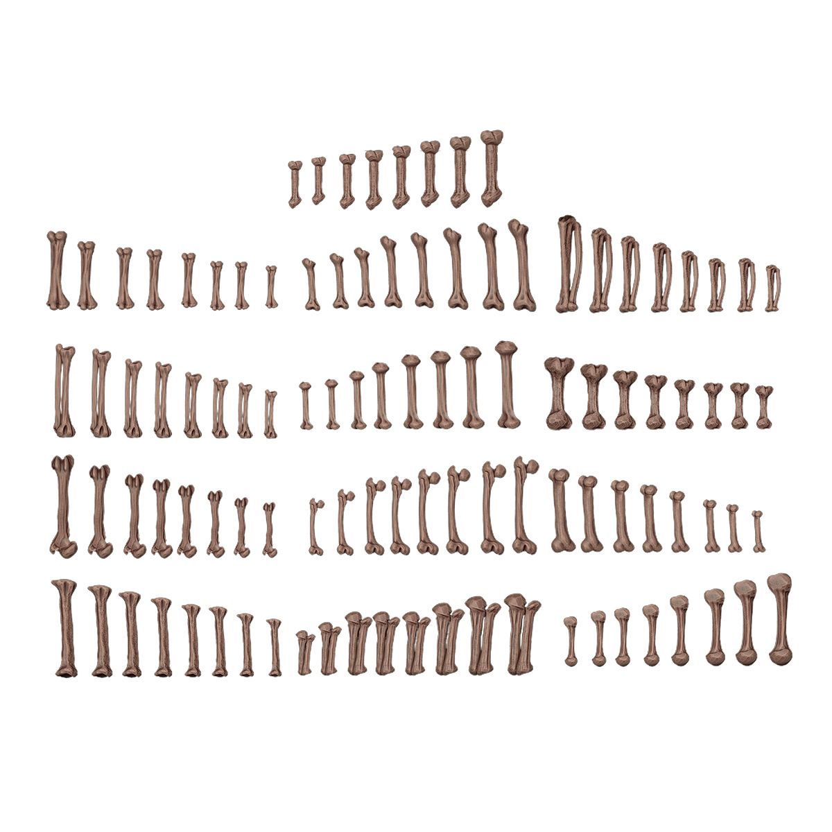 AK Interactive WARGAME SCENERY HUMAN BONES
