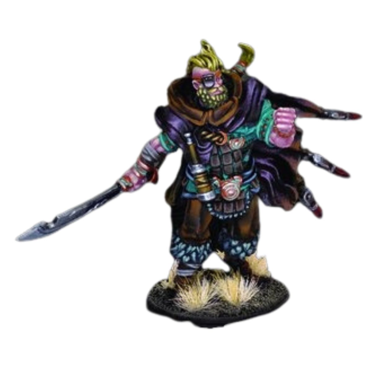 Conquest Nords Captain Officer