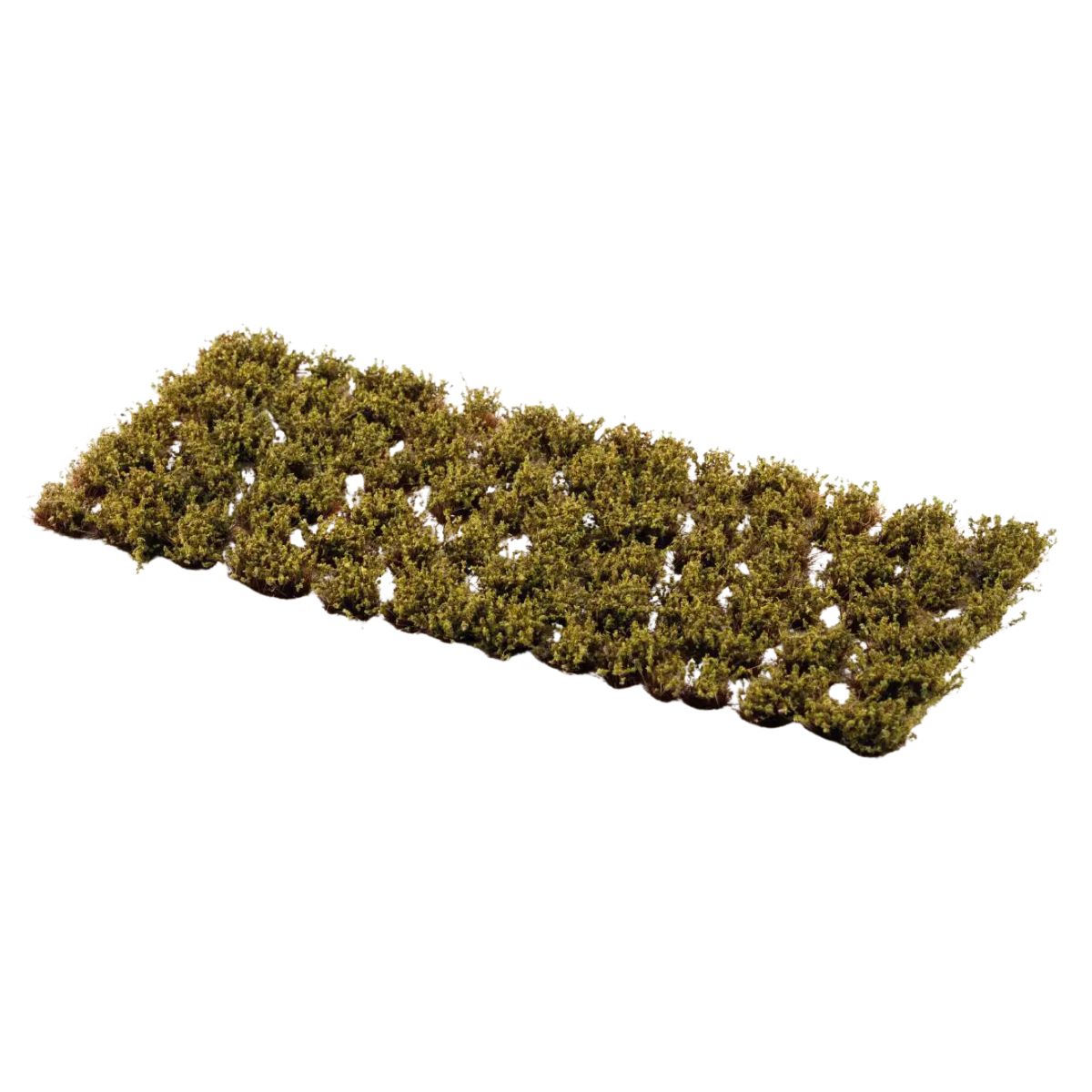 Gamers Grass Dry Green Shrubs