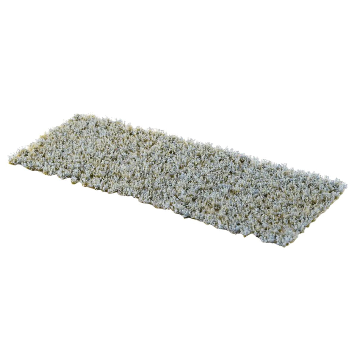 Gamers Grass Forget-Me-Not Tiny Flowers
