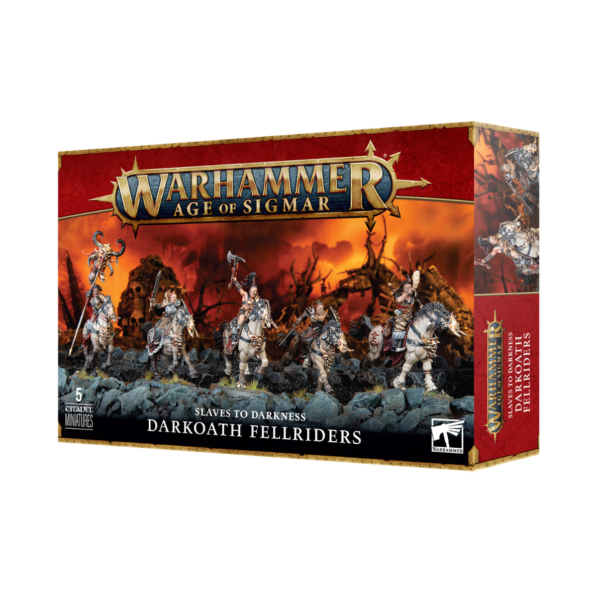 Warhammer Age of Sigmar Slaves to Darkness Darkoath Fellriders